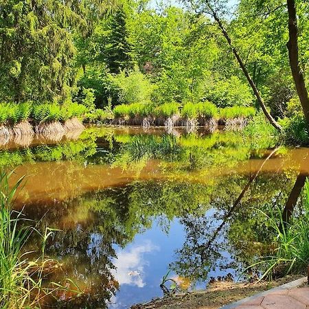 Midden In De Friese Bossen Op Landgoed Princenhof Oranjewoud Extérieur photo