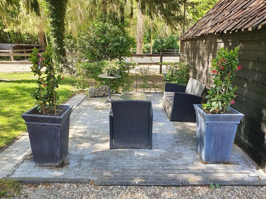 Midden In De Friese Bossen Op Landgoed Princenhof Oranjewoud Extérieur photo
