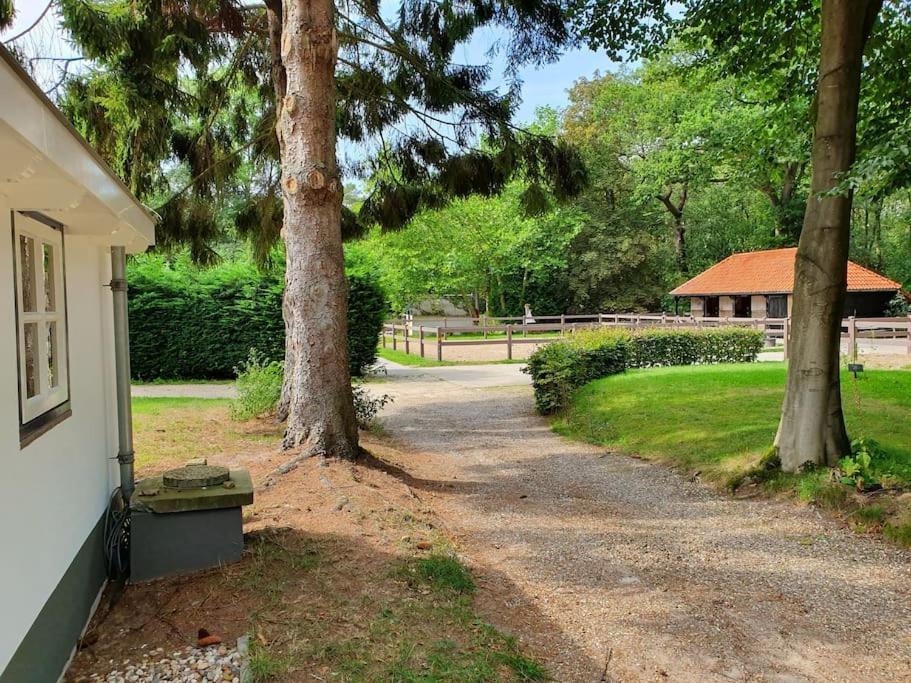 Midden In De Friese Bossen Op Landgoed Princenhof Oranjewoud Extérieur photo