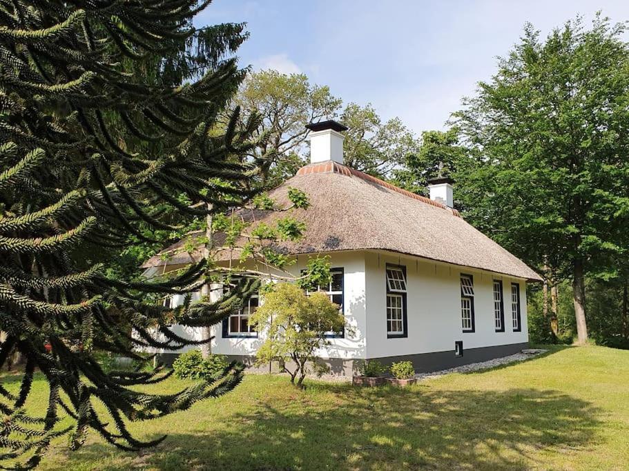 Midden In De Friese Bossen Op Landgoed Princenhof Oranjewoud Extérieur photo