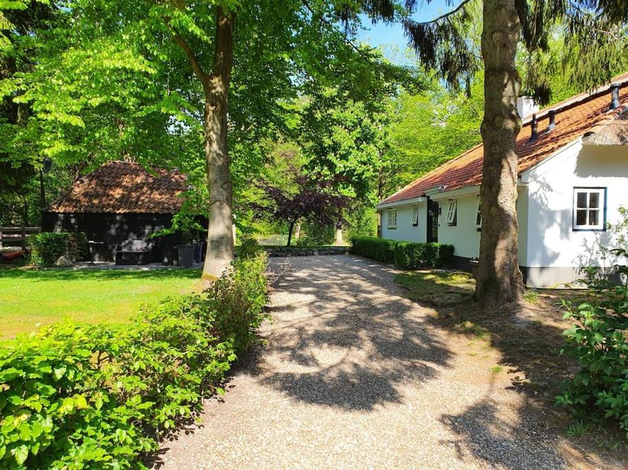 Midden In De Friese Bossen Op Landgoed Princenhof Oranjewoud Extérieur photo