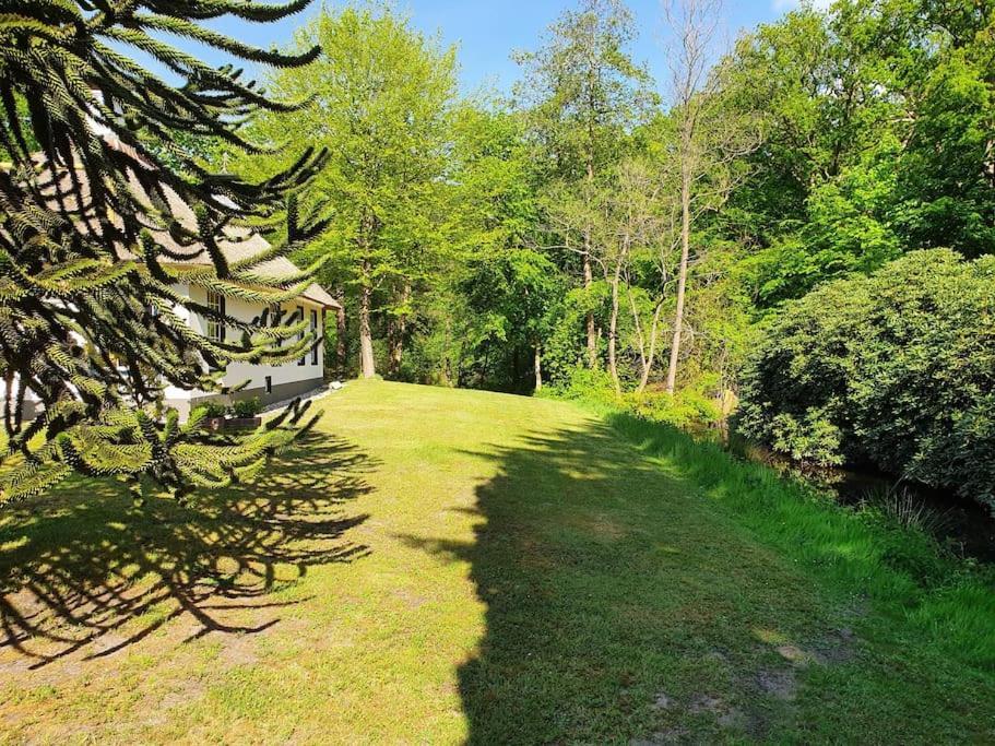 Midden In De Friese Bossen Op Landgoed Princenhof Oranjewoud Extérieur photo