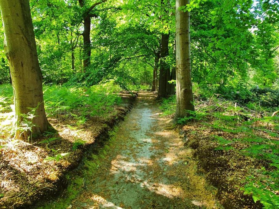 Midden In De Friese Bossen Op Landgoed Princenhof Oranjewoud Extérieur photo